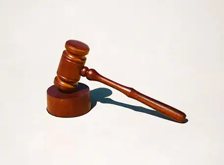 A wooden judge's gavel rests on its sound block against a plain, light background, casting a shadow to the right—a symbol often seen in Property Owners Association meetings and legal proceedings.
