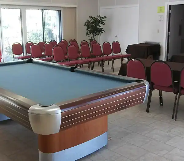 A pool table with a blue felt surface is in the foreground of a Property Owners Association lounge. Rows of red-cushioned chairs face the table, while a potted plant stands near large windows in the background.